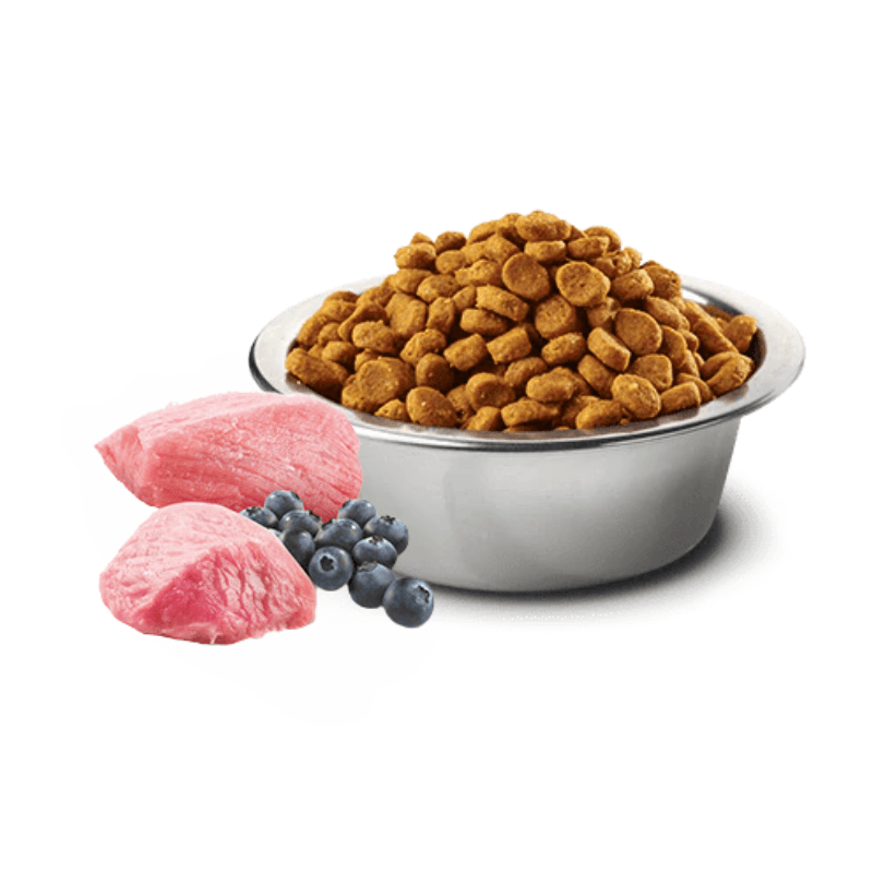Dry Cat Food - N & D - PRIME - Lamb & Blueberry - Adult - J & J Pet Club - Farmina