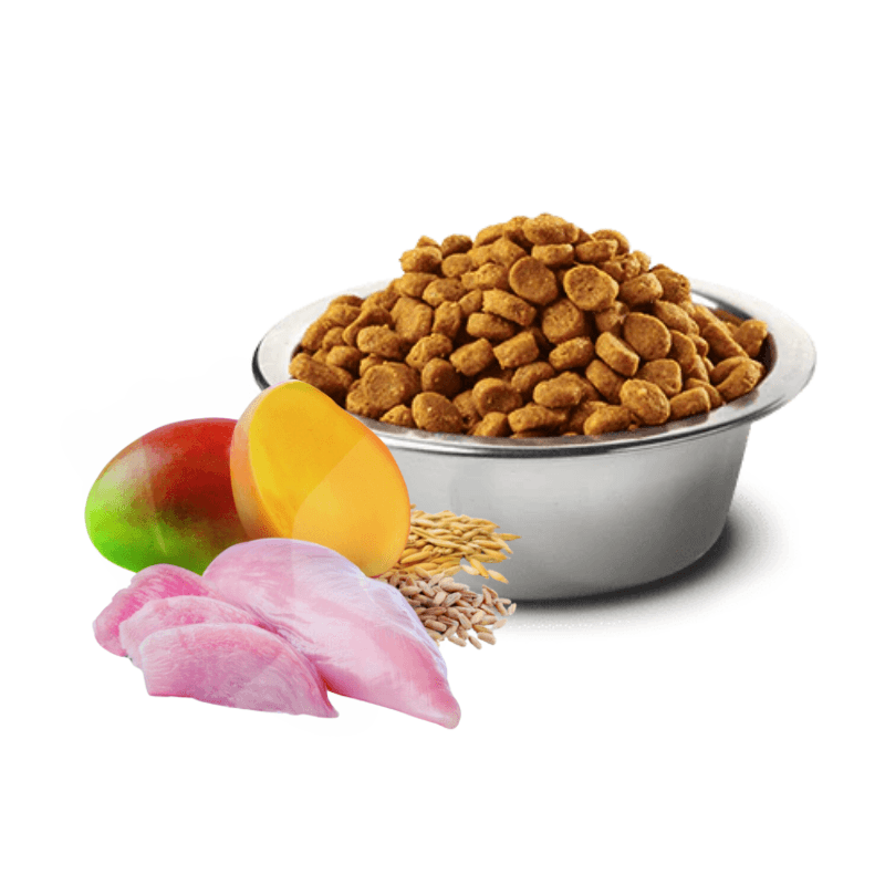 Dry Cat Food - N & D - TROPICAL SELECTION - Chicken, Spelt, Oats & Tropical Fruits - Adult - J & J Pet Club - Farmina