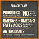 Dry Cat Food - PURRFECT BISTRO - Grain Free Real Chicken + Sweet Potato Recipe - J & J Pet Club - Merrick