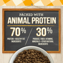 Dry Cat Food - PURRFECT BISTRO - Grain Free Real Chicken + Sweet Potato Recipe - J & J Pet Club - Merrick