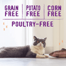 Dry Cat Food - Raw Blend - Wild Caught Fish Recipe - J & J Pet Club - Stella & Chewy's