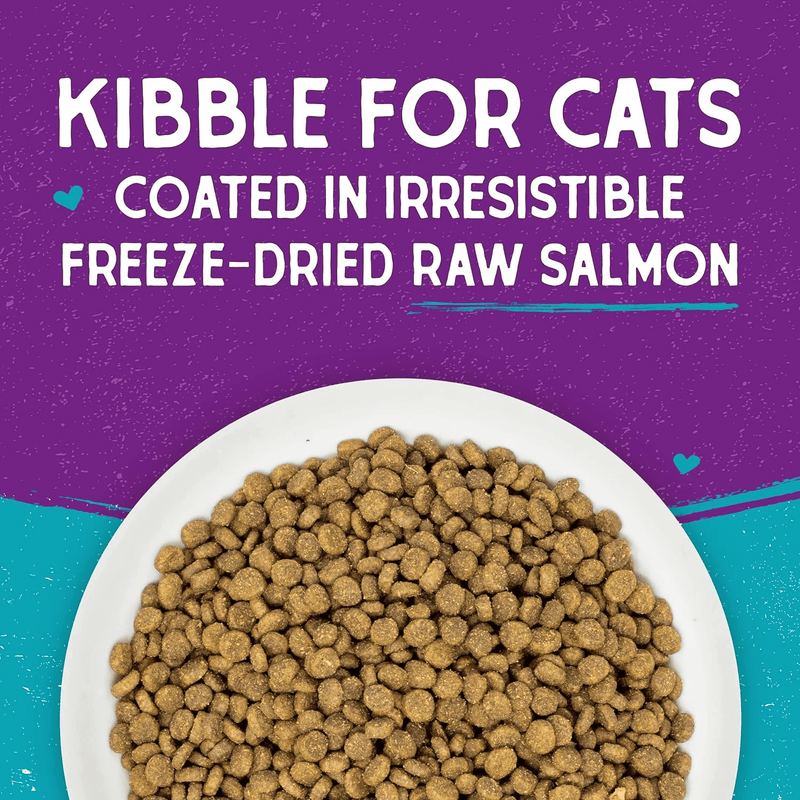 Dry Cat Food - Raw Coated - Salmon - J & J Pet Club - Stella & Chewy's