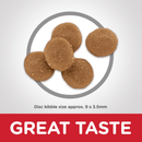 Dry Cat Food - Sensitive Stomach & Skin ADULT - Chicken & Rice Recipe - J & J Pet Club - Hill's Science Diet