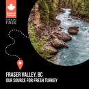 Dry Cat Food - SUBZERO - Limited Ingredients - Turkey & Pumpkin Recipe - J & J Pet Club - Nutrience