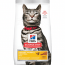 *(Please Use By 2026-10-31)* Dry Cat Food - Urinary Hairball Control ADULT - Chicken Recipe - 3.5 Lb