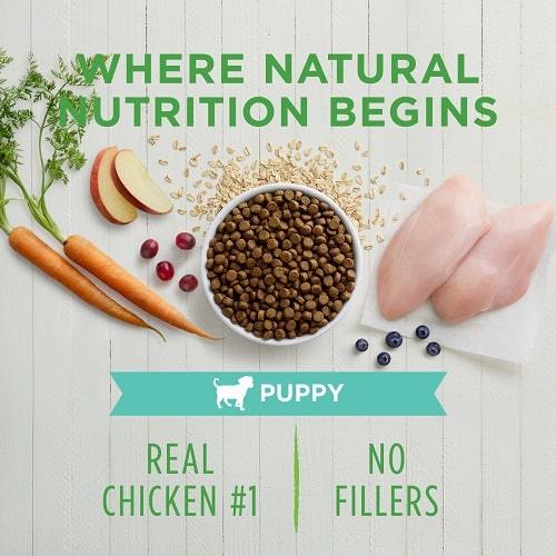 Dry Dog Food - BE NATURAL - Real Chicken & Brown Rice Recipe For Puppies - J & J Pet Club - Instinct