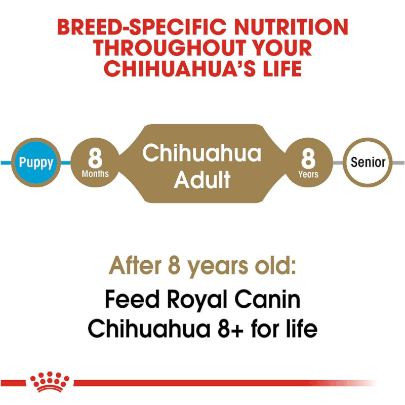 Dry Dog Food - BREED HEALTH NUTRITION - Chihuahua Adult - J & J Pet Club - Royal Canin