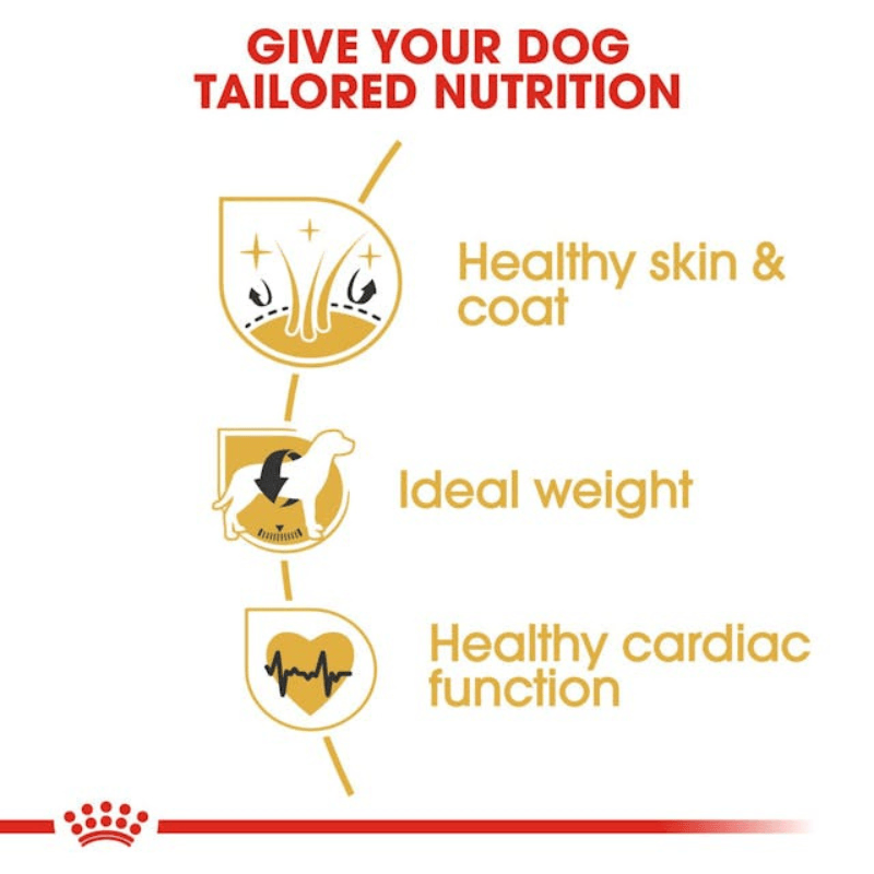 Dry Dog Food - BREED HEALTH NUTRITION - Cocker Spaniel Adult - J & J Pet Club - Royal Canin