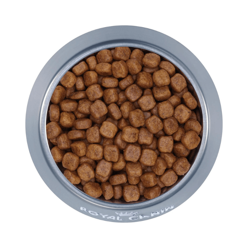Dry Dog Food - BREED HEALTH NUTRITION - Poodle Adult - J & J Pet Club - Royal Canin