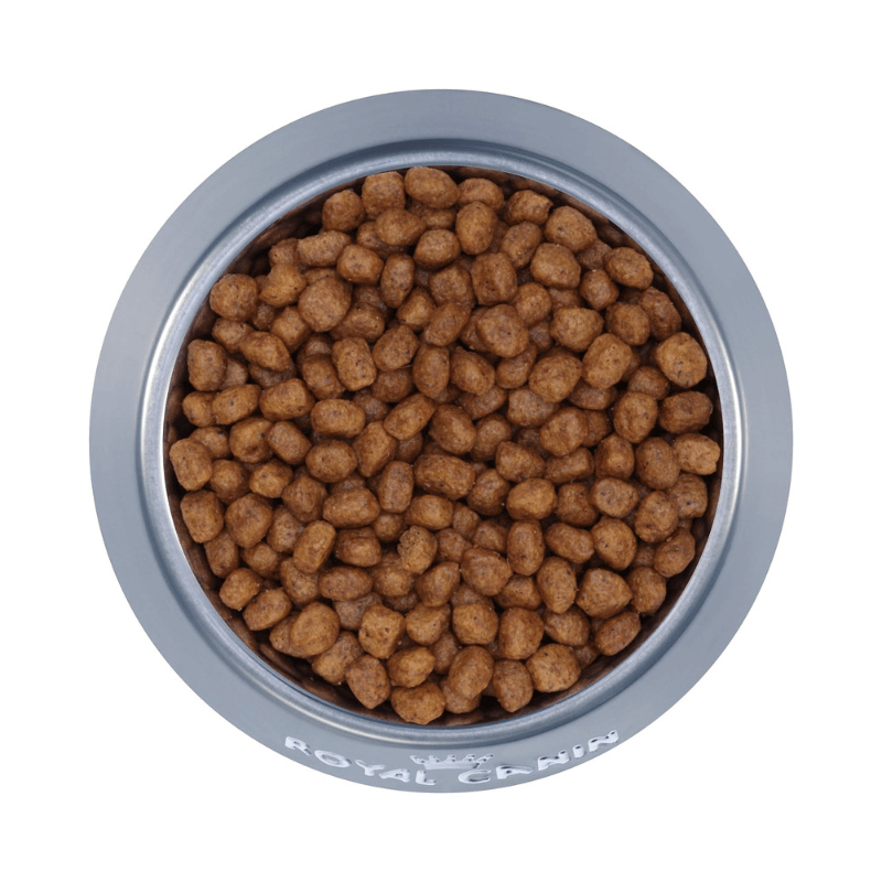 Dry Dog Food - BREED HEALTH NUTRITION - Yorkshire Terrier Adult - J & J Pet Club - Royal Canin
