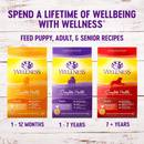 Dry Dog Food - COMPLETE HEALTH - Puppy SMALL BREED Turkey, Oatmeal & Salmon - J & J Pet Club - Wellness