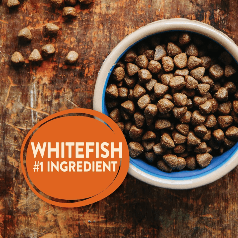 Dry Dog Food - CORE - Grain Free OCEAN Whitefish, Herring & Salmon - Adult - J & J Pet Club - Wellness
