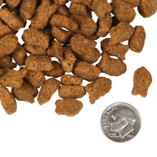 Dry Dog Food - FOUR STAR - Trout & Whitefish Recipe - J & J Pet Club - Fromm