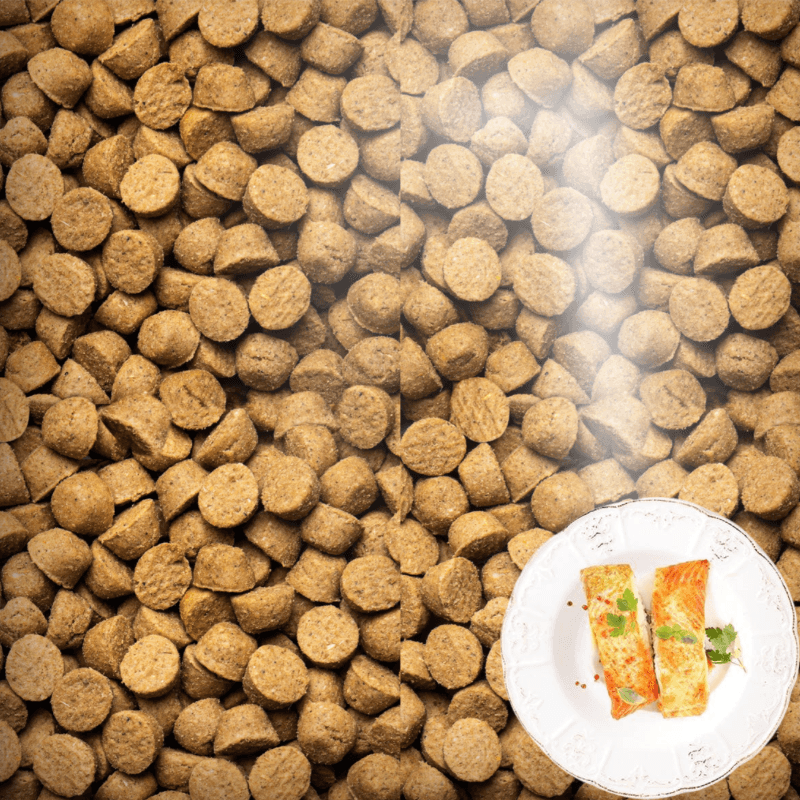 Dry Dog Food - Grain Free Fish - All Life Stages Small Breed - J & J Pet Club - Oven-Baked Tradition