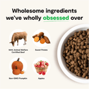 Dry Dog Food, Grain Free Grass-Fed Beef Recipe - J & J Pet Club - Open Farm