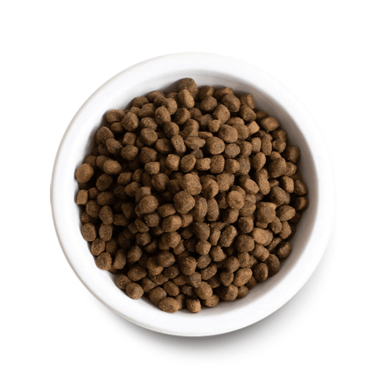 Dry Dog Food - Grain Free PUPPY Chicken & Salmon Recipe - J & J Pet Club