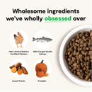 Dry Dog Food - Grain Free PUPPY Chicken & Salmon Recipe - J & J Pet Club - Open Farm