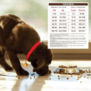 Dry Dog Food - Grain Free Salmon Anchovy & Sardine Meal Recipe - Adult & Puppy - J & J Pet Club - Holistic Select