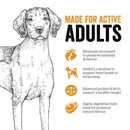 Dry Dog Food, Grain-Free Turkey, Salmon & Duck Recipe - Adult - J & J Pet Club - Now Fresh