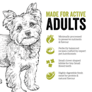 Dry Dog Food, Grain-Free Turkey, Salmon & Duck Recipe - Adult Small Breed - J & J Pet Club - Now Fresh