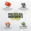 Dry Dog Food, Grain-Free Turkey, Salmon & Duck Recipe - Adult Small Breed - J & J Pet Club - Now Fresh