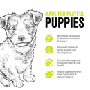 Dry Dog Food, Grain-Free Turkey, Salmon & Duck Recipe - Puppy Small Breed - J & J Pet Club - Now Fresh