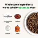 Dry Dog Food, Grain Free Wild-Caught Salmon Recipe - J & J Pet Club - Open Farm