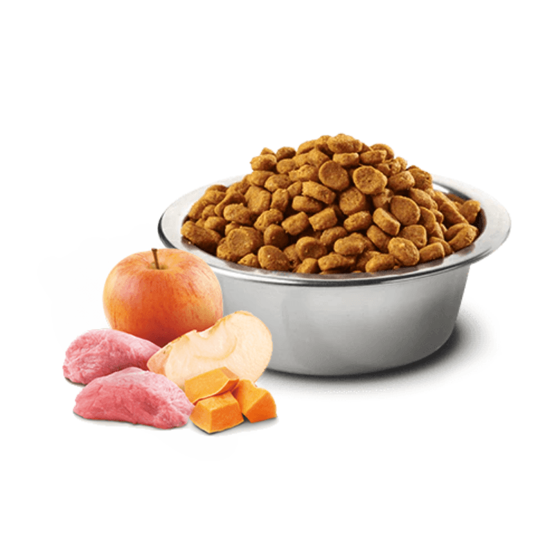 Dry Dog Food - N & D - PUMPKIN - Boar & Apple - Adult Medium & Maxi - J & J Pet Club - Farmina