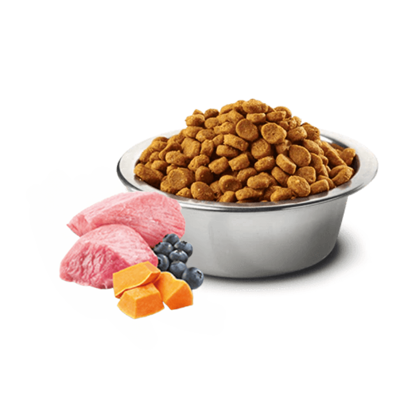 Dry Dog Food - N & D - PUMPKIN - Lamb & Blueberry Adult Mini - J & J Pet Club - Farmina