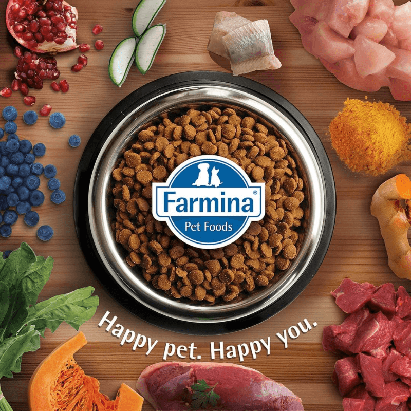 Dry Dog Food - N & D - PUMPKIN - Lamb & Blueberry Adult Mini - J & J Pet Club - Farmina