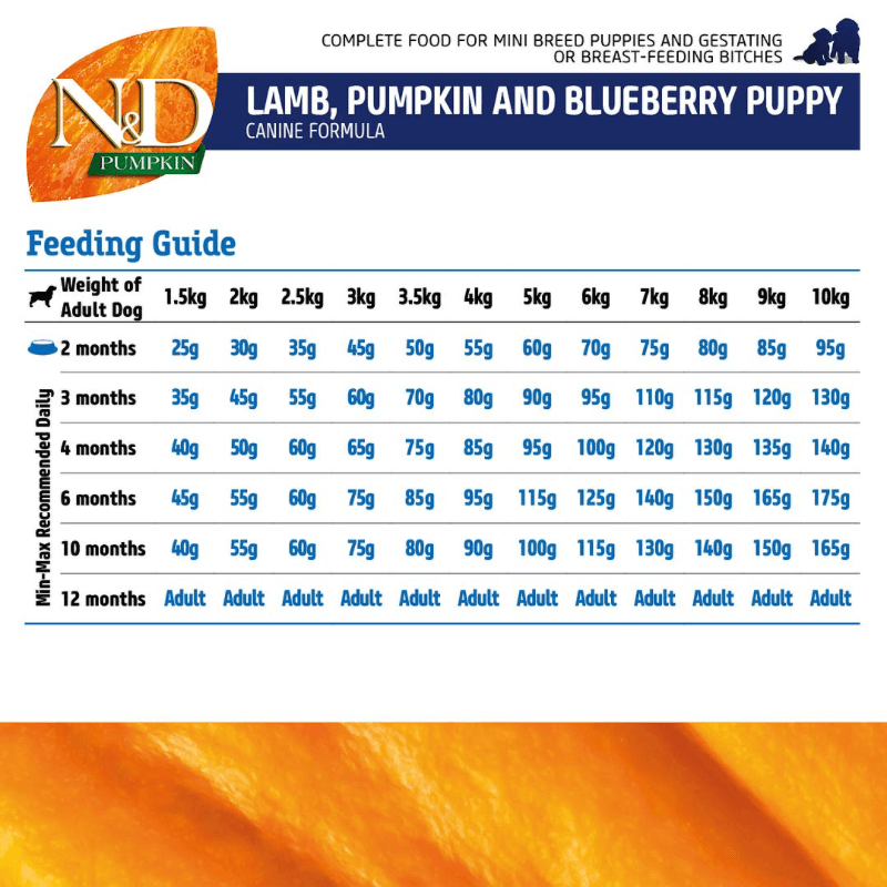 Dry Dog Food - N & D - PUMPKIN - Lamb & Blueberry - Puppy Mini - J & J Pet Club - Farmina