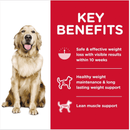 Dry Dog Food - Perfect Weight ADULT - Chicken Recipe - J & J Pet Club - Hill's Science Diet