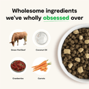 Dry Dog Food - RAWMIX - Front Range Recipe (Grain & Legume Free) - J & J Pet Club - Open Farm