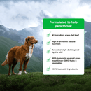 Dry Dog Food - RAWMIX - Front Range Recipe (Grain & Legume Free) - J & J Pet Club - Open Farm