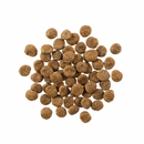 Dry Dog Food - SENSITIVITIES - Limited Ingredient, Grain-Free Salmon Recipe - J & J Pet Club - GO!