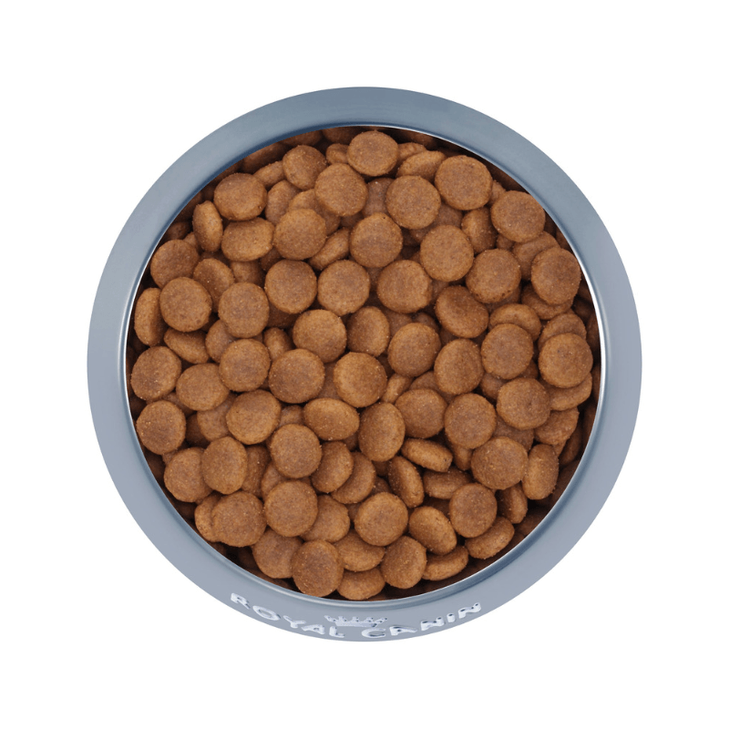 Dry Dog Food - SIZE HEALTH NUTRITION - MEDIUM Adult - J & J Pet Club - Royal Canin