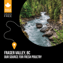 Dry Dog Food - SUBZERO - Fraser Valley - J & J Pet Club - Nutrience