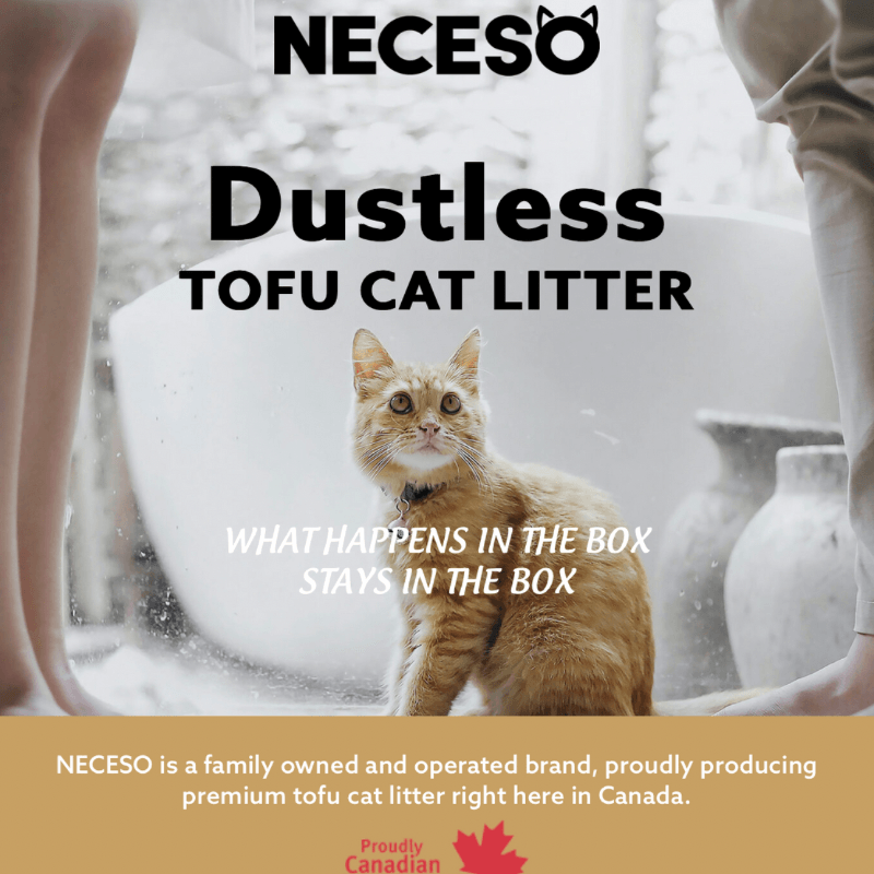 Dustless sales kitty litter