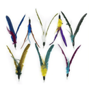 Easy Clip Attachment - CAT LURES - CRAZY FLYERS - J & J Pet Club - GO CAT