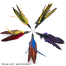 Easy Clip Attachment - CAT LURES - DUCK FLYER - J & J Pet Club - GO CAT