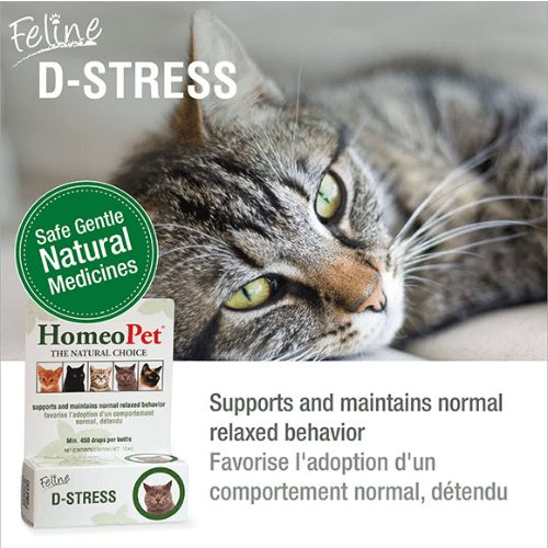 Feline D-Stress, 15 ml - J & J Pet Club - Homeopet
