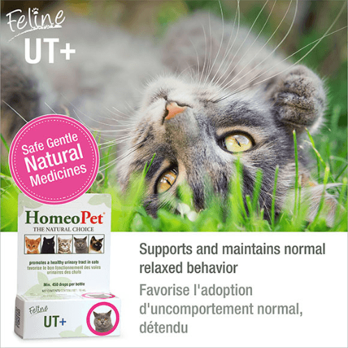 Feline UT+ Relief, 15 ml - J & J Pet Club - Homeopet