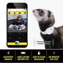 Ferret Finder Collar - White - J & J Pet Club - Marshall