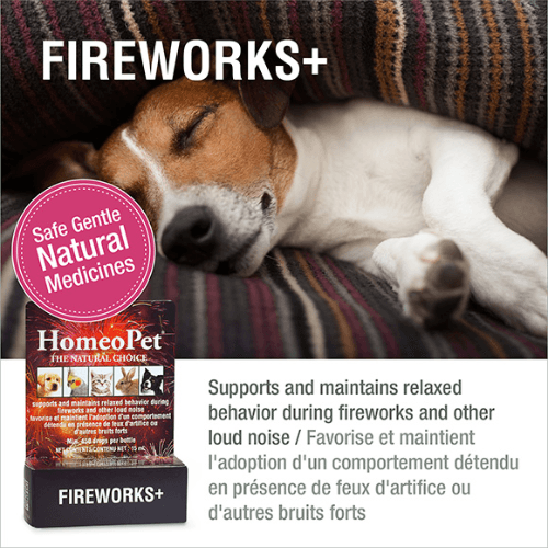 Fireworks+, 15 ml - J & J Pet Club - Homeopet