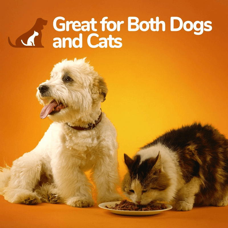 Food Topper For Dogs & Cats - Pumpkin Superblend - DIGESTIVE SUPPLEMENT - 15 oz - J & J Pet Club - Fruitables