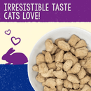 Freeze Dried Cat Food - Absolutely Rabbit - Dinner Morsels - J & J Pet Club - Stella & Chewy's