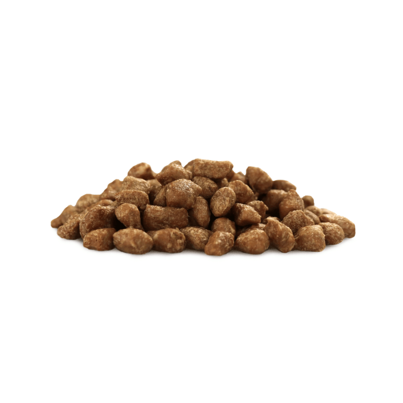Freeze Dried Cat Food - Rabbit Entree - Mini Nibs - J & J Pet Club - Vital ESSENTIALS