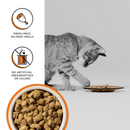 Freeze Dried Cat Food - RAWBBLE - Chicken Recipe - J & J Pet Club - BIXBI