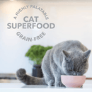 Freeze Dried Cat Food Topper - Lamb Green Tripe Booster - 2 oz - J & J Pet Club - Feline Natural