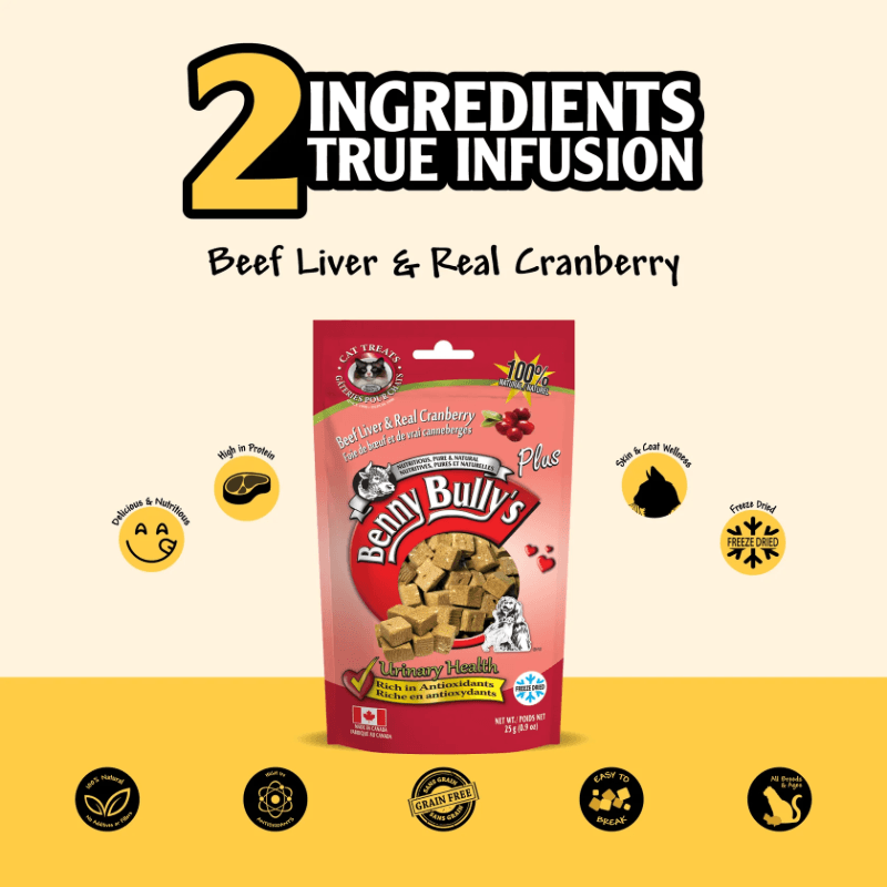 Freeze Dried Cat Treat - Beef Liver Plus & Real Cranberry - 25 g - J & J Pet Club - Benny Bully's